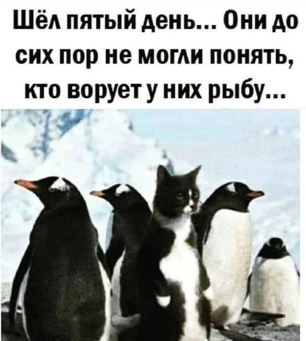 🤣🤣