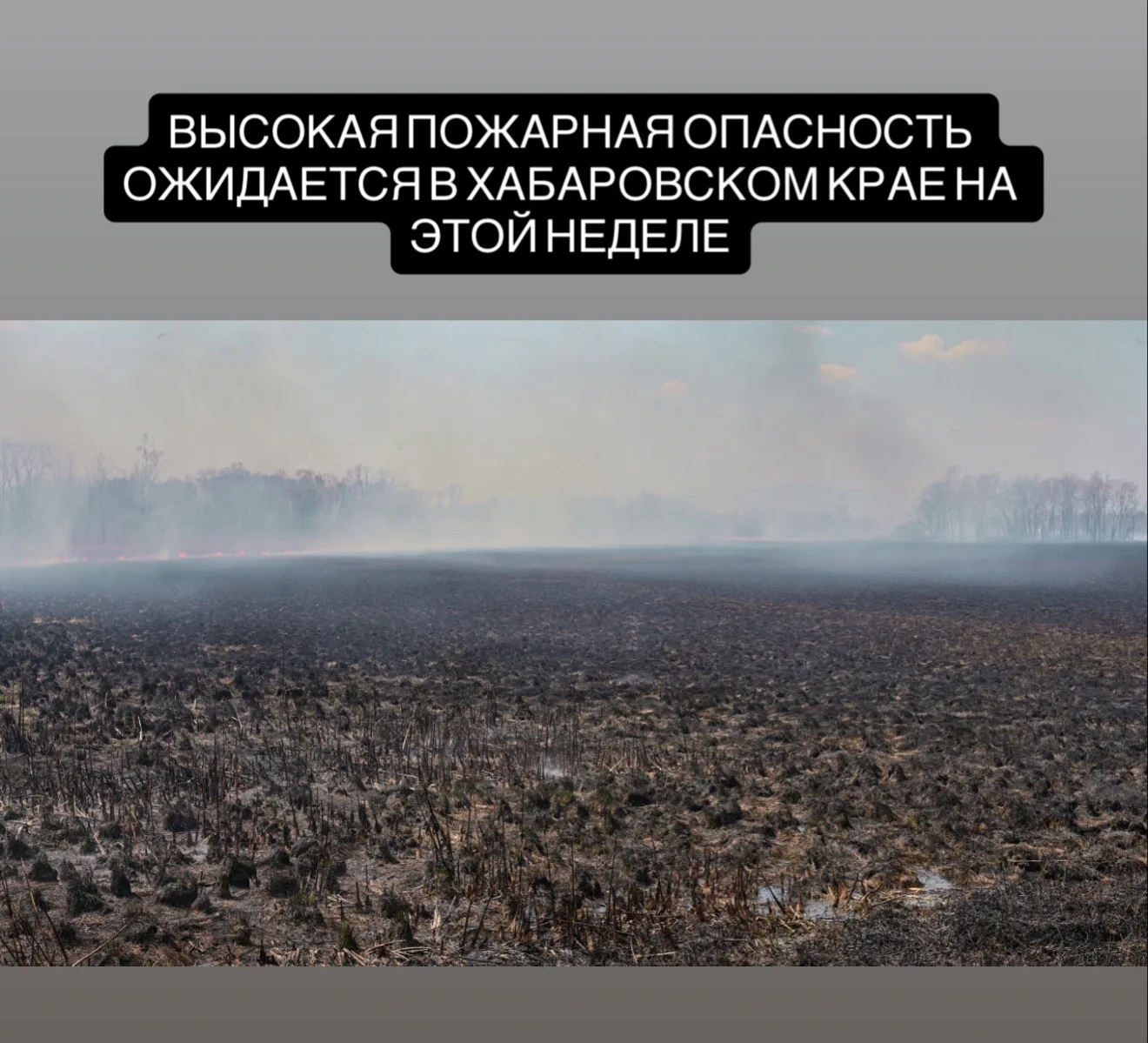 Гидрометцентр России предупредил о высокой и местами чрезвычайной пожарной опасности в ряде регионов