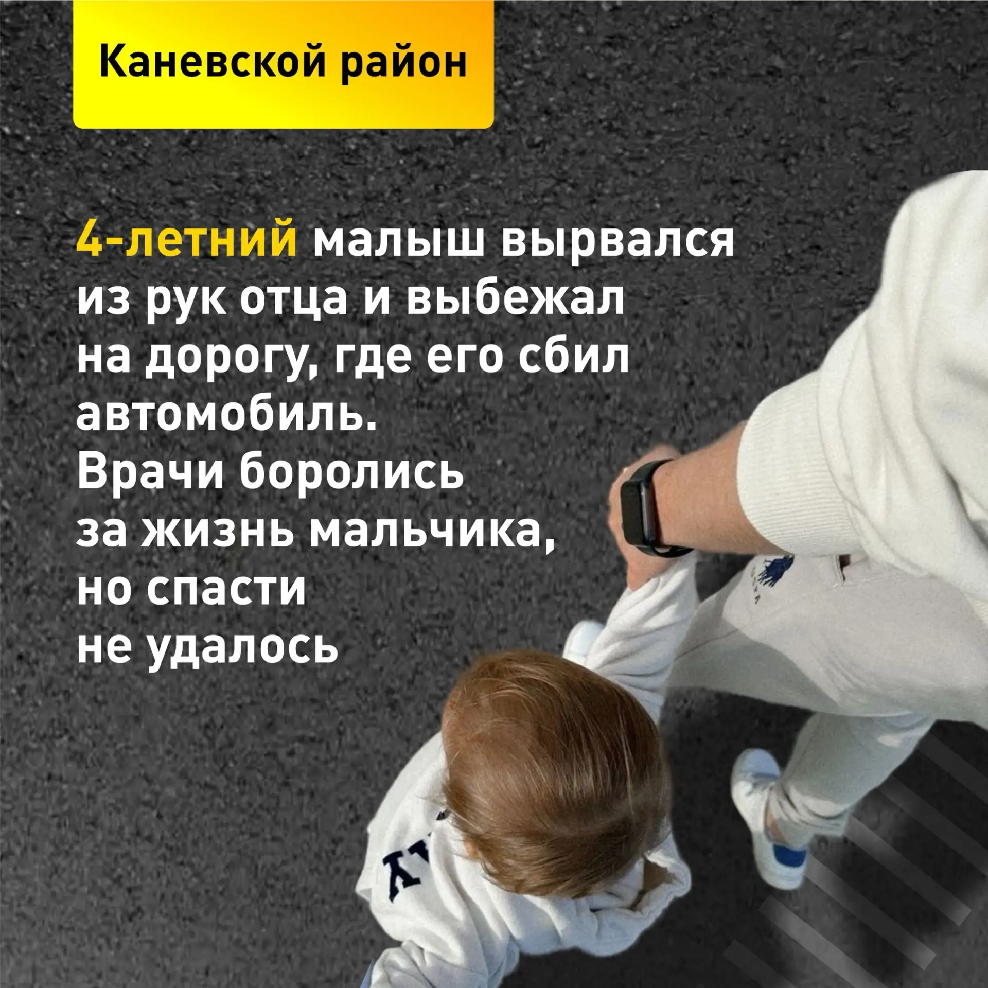 Изображение 4 к публикации «Елена Викторовна Воробьева»