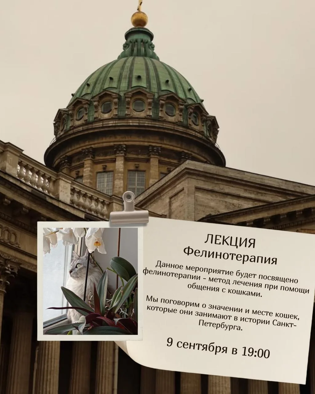 — 9 сентября в 19:00
