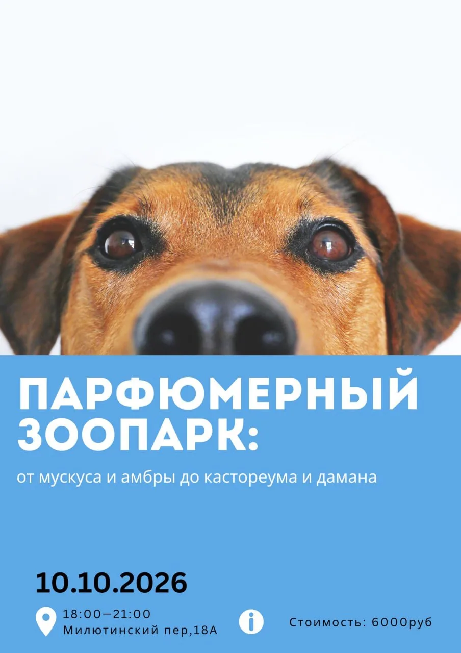 АНОНСЫ ОКТЯБРЯ