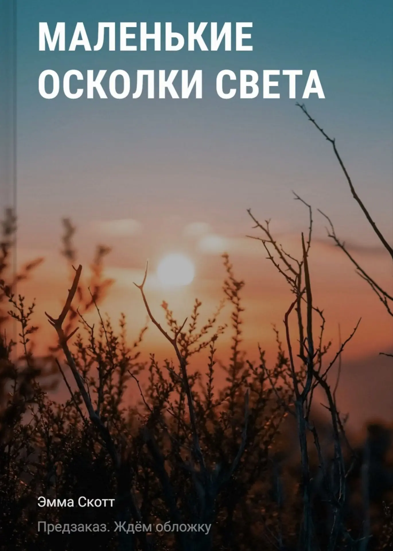 ПРЕДЗАКАЗ