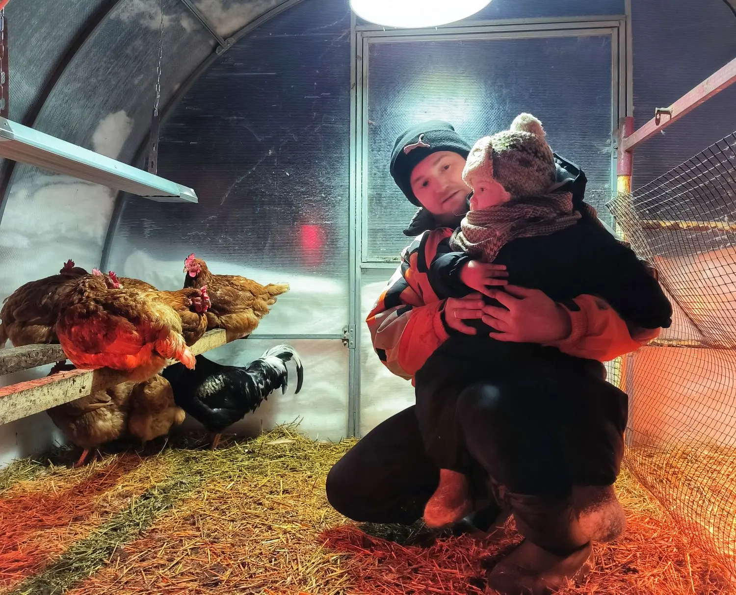 Перезимовали наши 🐔 В планах постройка новой комфортной курорезиденции. Следующая зима...