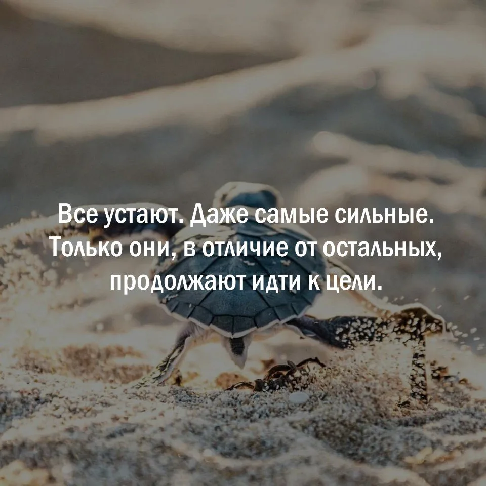 Мудрость слов | цитаты Мудрость слов | цитаты
