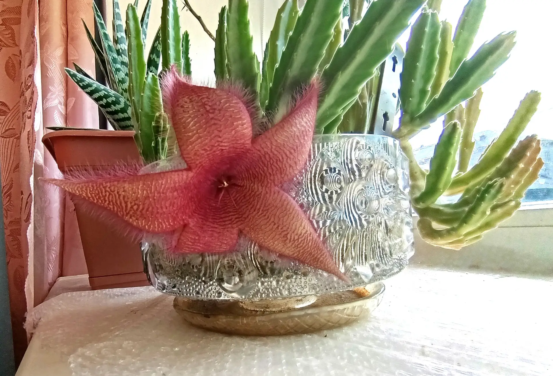 ✨Немного утренней красоты в ленту!✨