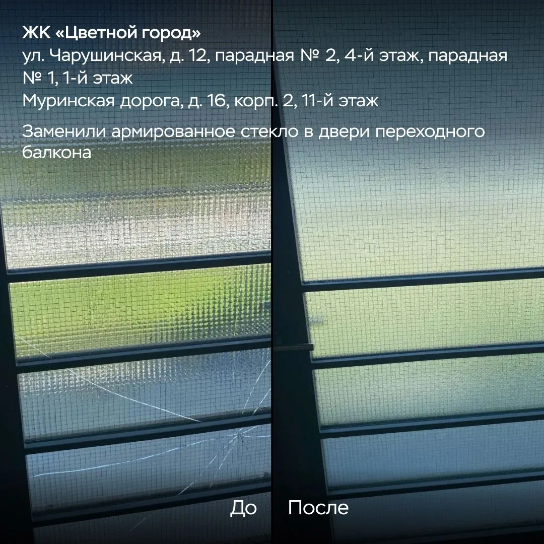 Еженедельный отчёт. Часть 2 🍀