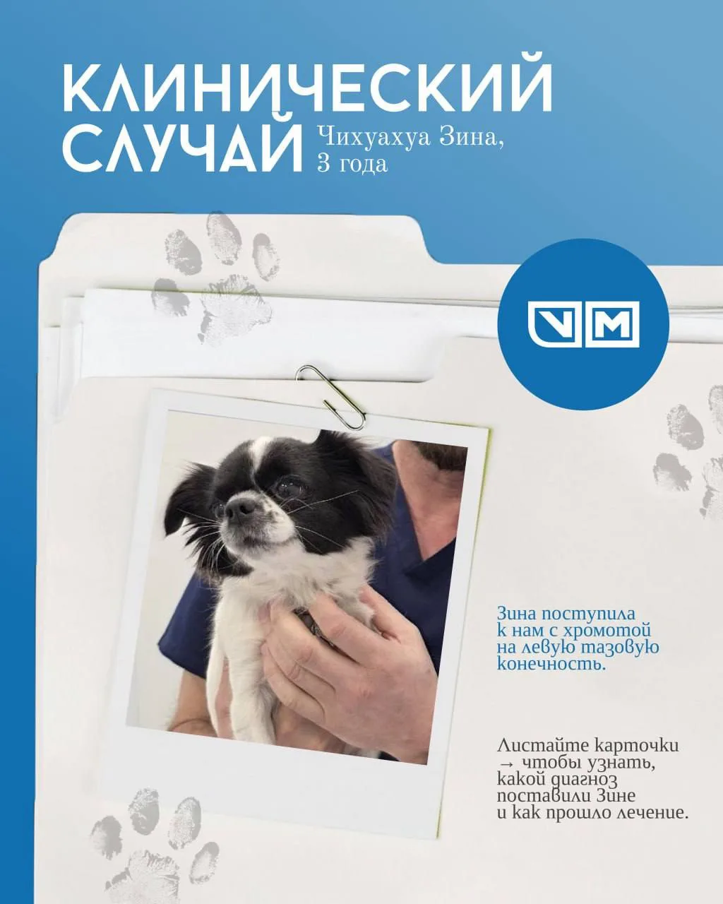 🐾 Зина снова бегает!


Чихуахуа поступила к нам с хромотой на левую тазовую конечность. Ветеринарны