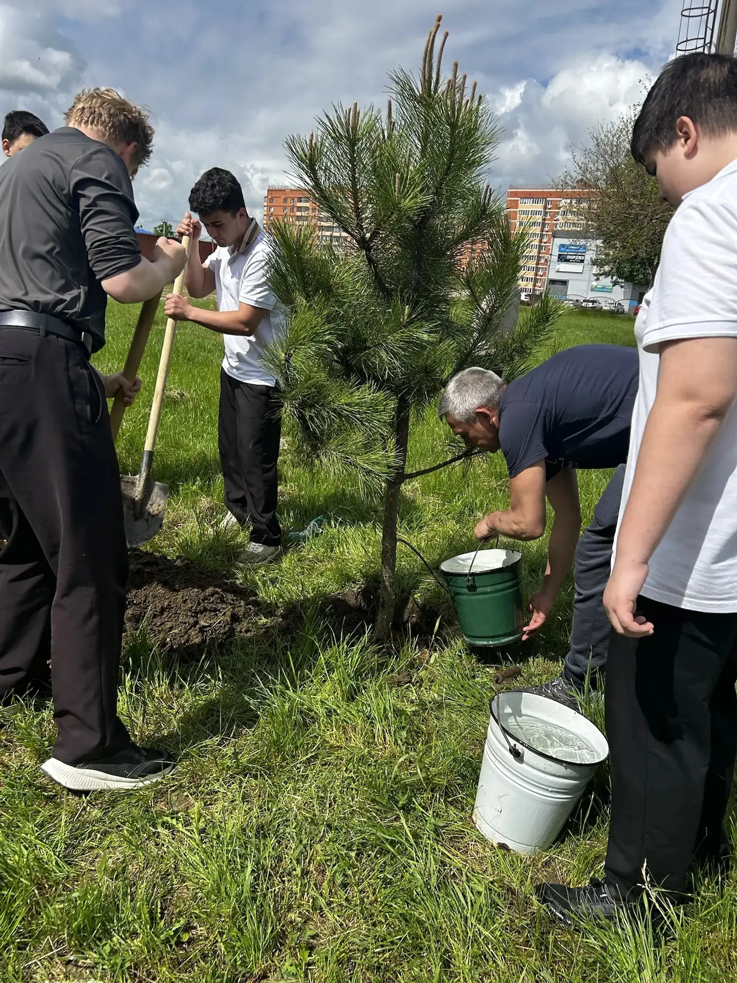 🌳 Продолжаем традицию 9 «К»: дерево любимой школе!  В минувшую субботу выпускники 9 «К» класса продо