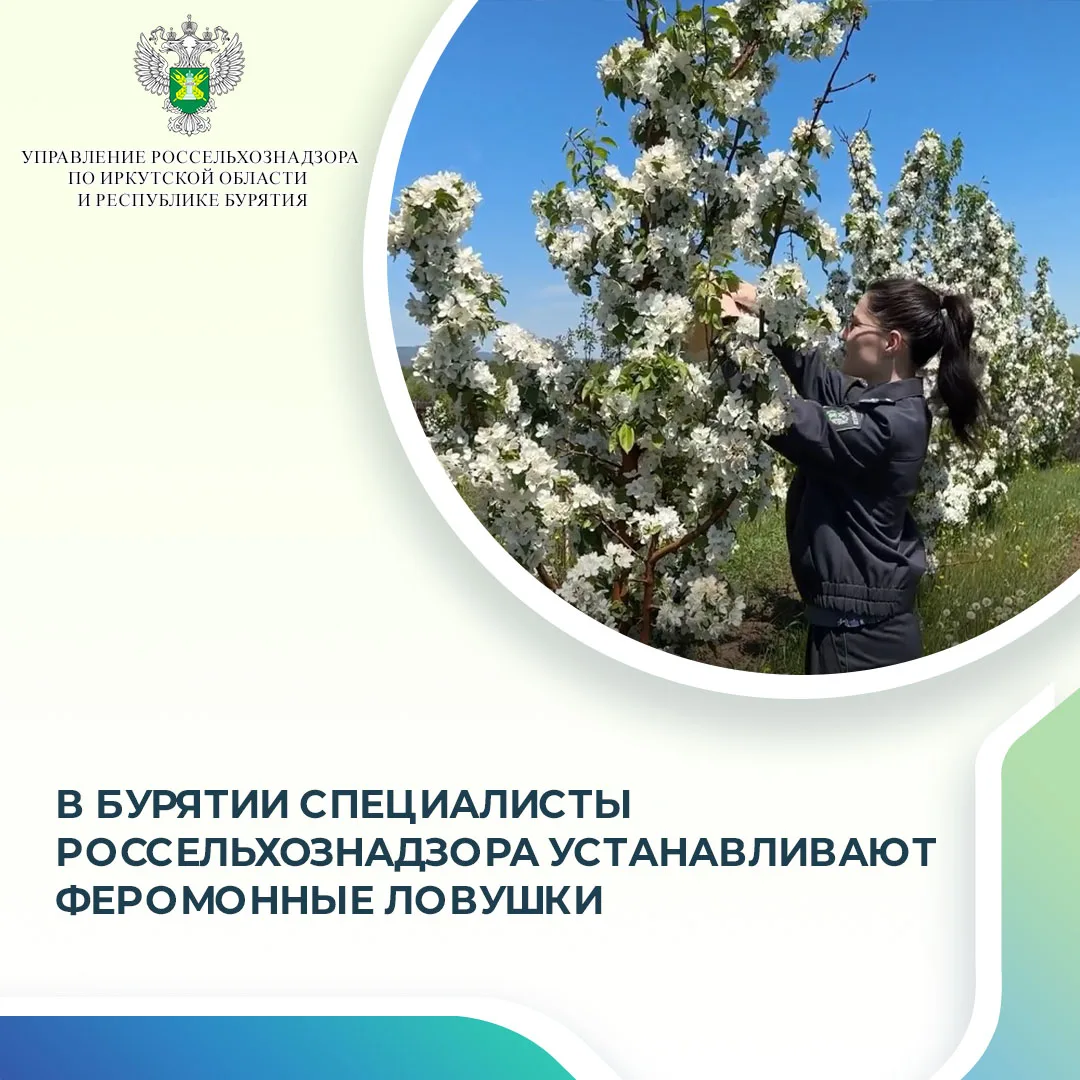 Специалисты Управления Россельхознадзора по Иркутской области и Республике Бурятия совместно с Иркут