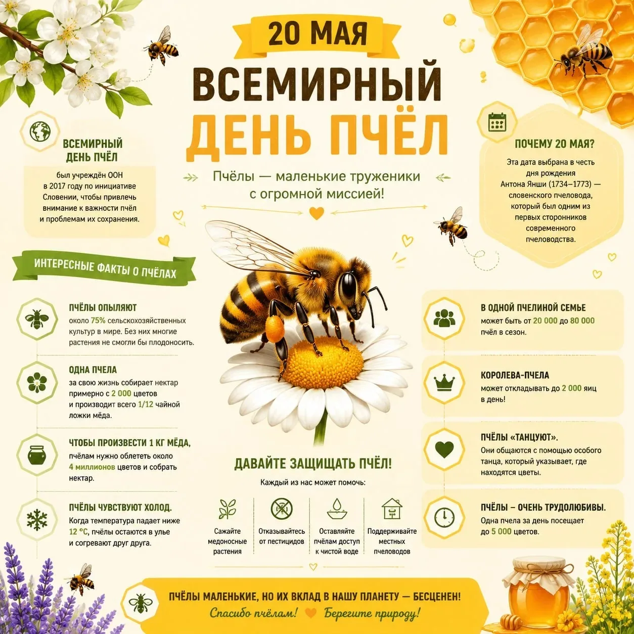 🪰Сегодня, 20 мая, у самых трудолюбивых насекомых на планете праздник!