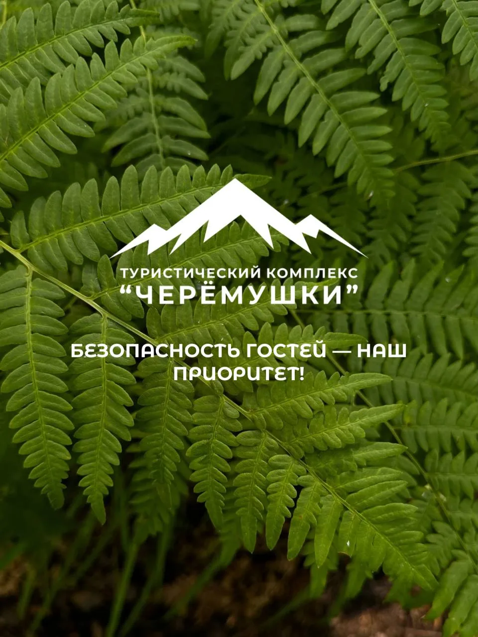 ✅ Мы позаботились о вашей безопасности!

Территория туристического комплекса «Черёмушки» прошла план