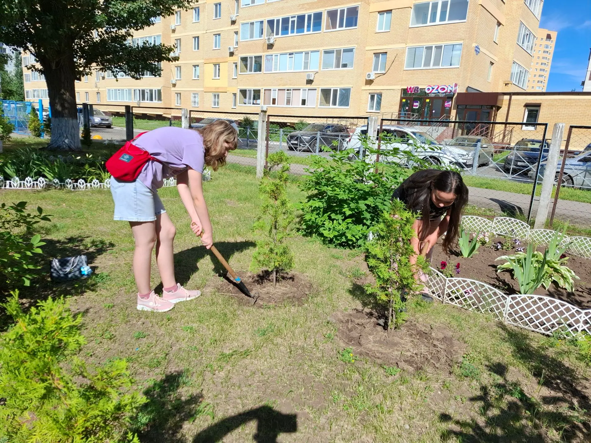 Продолжается отработка на пришкольном участке. Сегодня 7В класс поливал огород, ведь все культуры: п