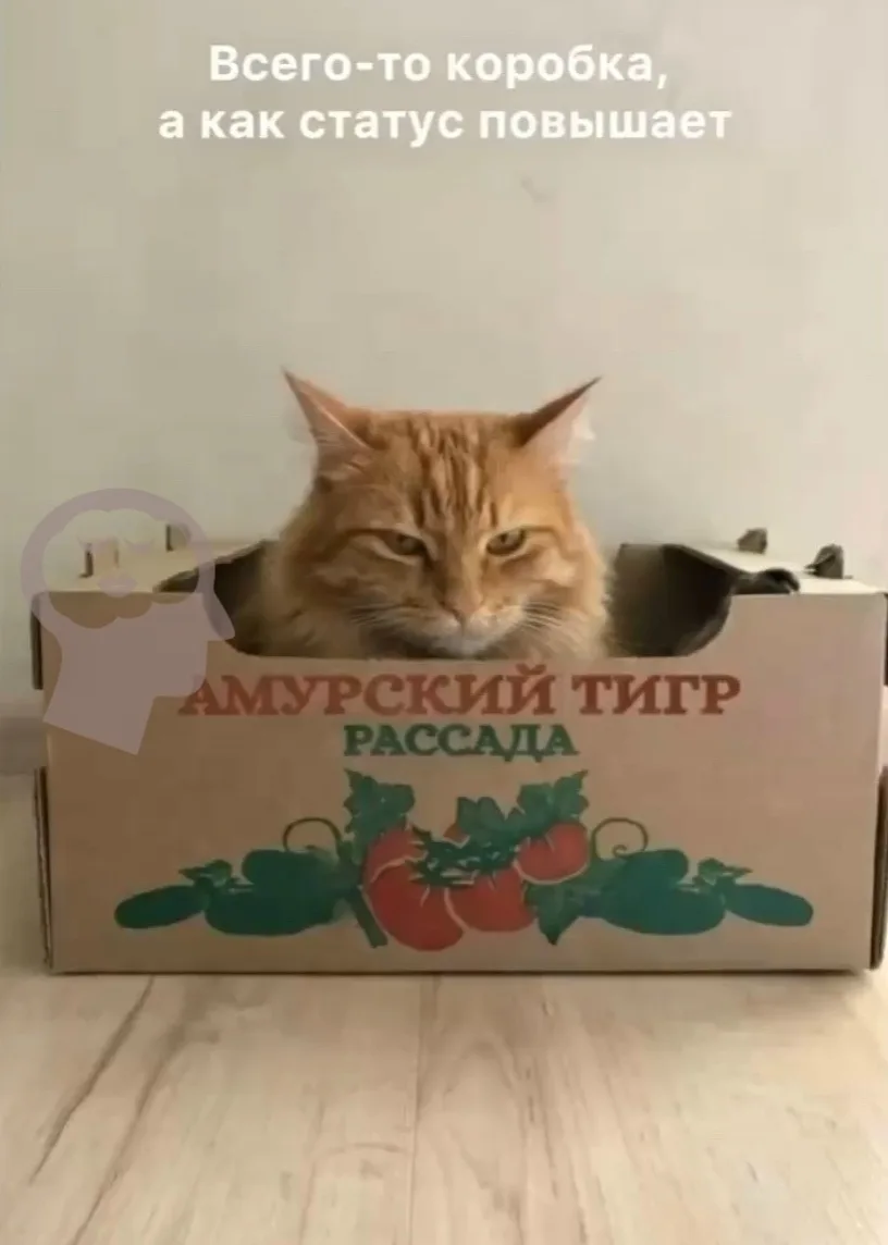 Женский журнал

✅ Женский Журнал - Подпишись