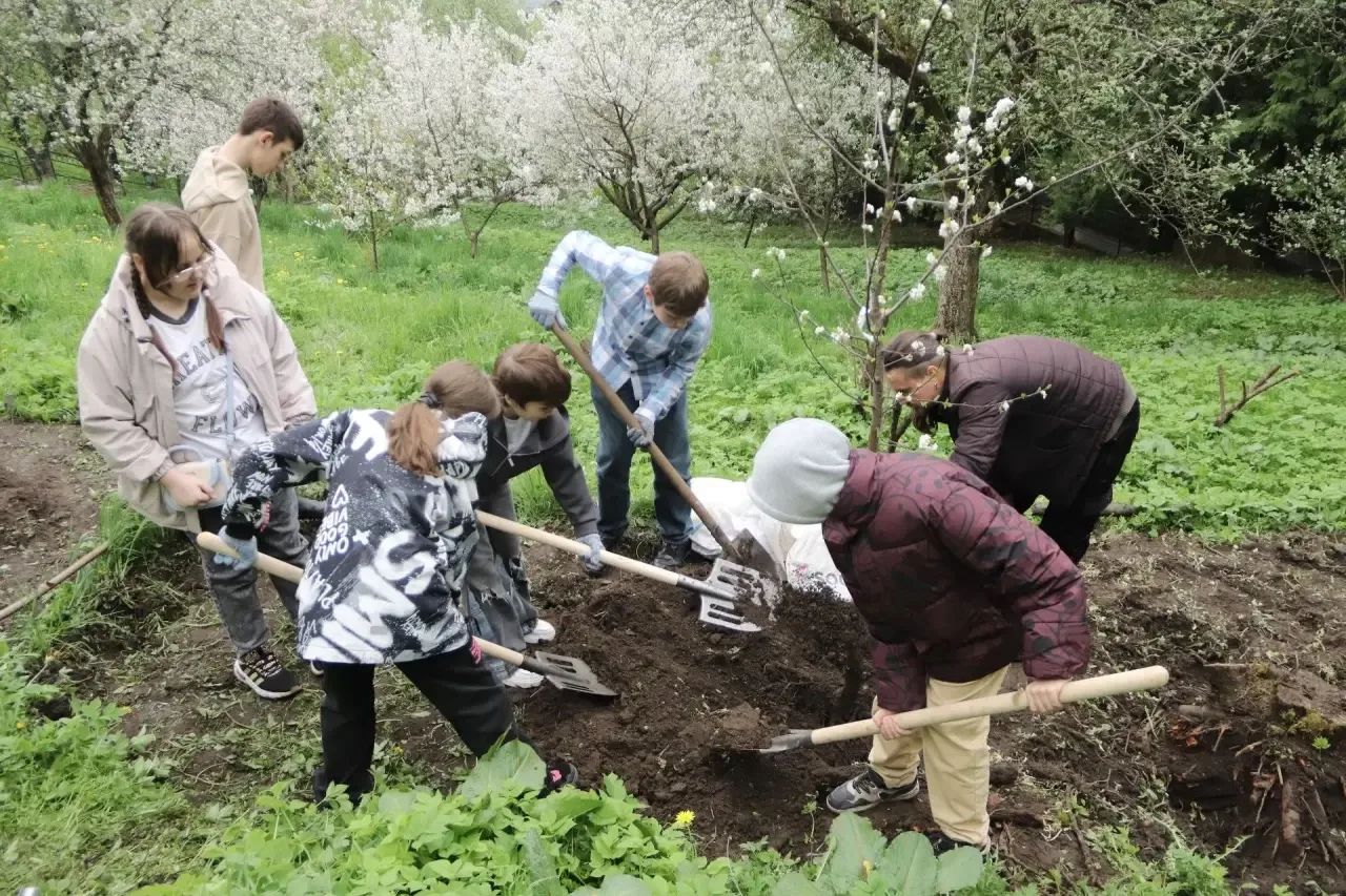 🍒 Возрождение "Владимирской вишни" в Патриаршем саду!   На станции юннатов «Патриарший сад» прошло б