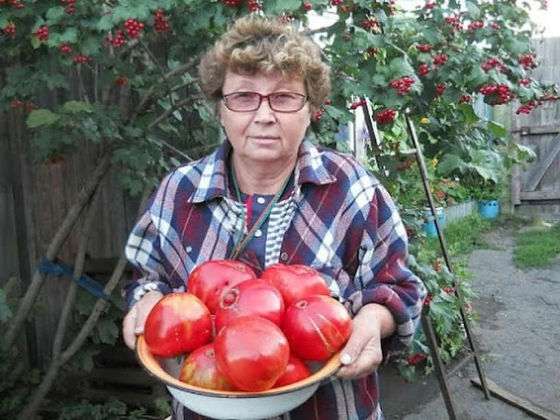 🇷🇺Вот почему нужно есть томаты✅