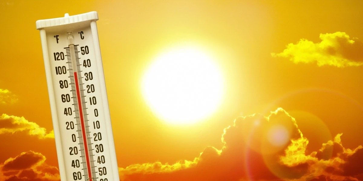 ☀️ Середина лета в самом разгаре!

🌿  Чтобы летние деньки приносили только радость, а не усталость,