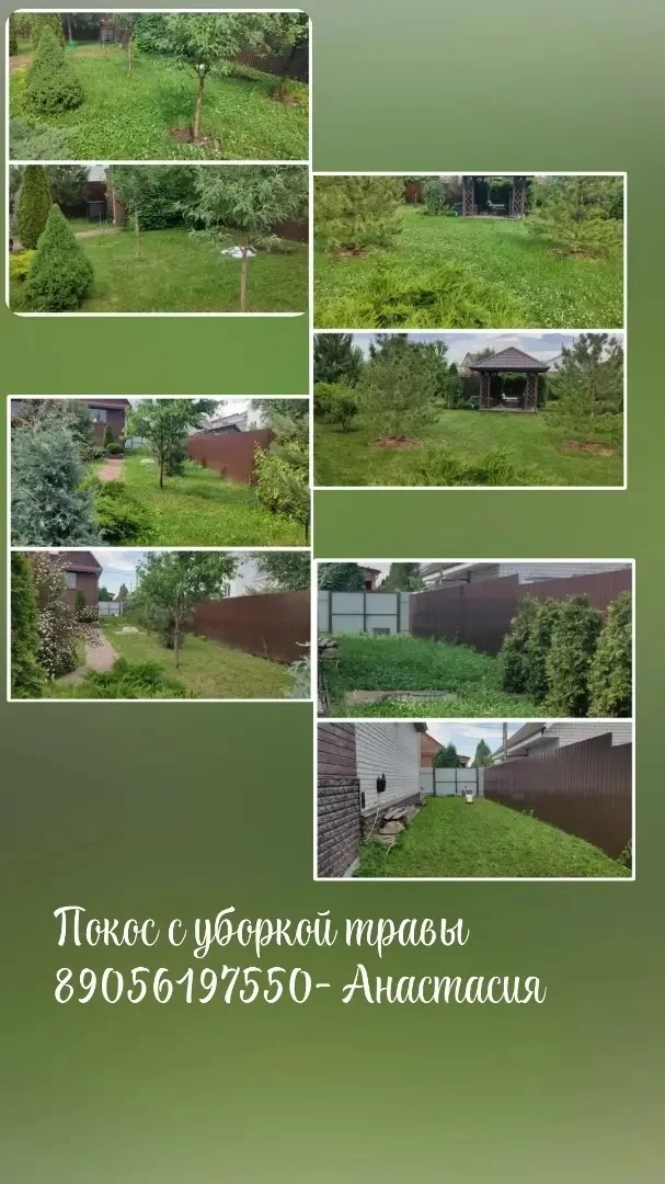 Добрый день!
Мы, https://vk.ru/sadkirzhach33 ,
предлагаем все виды услуг по облагораживанию Вашего у