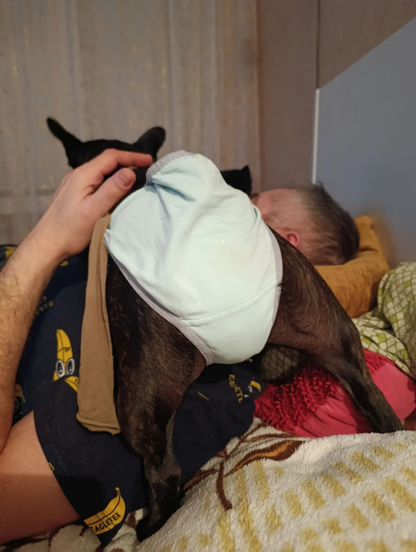 Ой, я не могу с неё! Она полезла Батю кошмарить. 😊