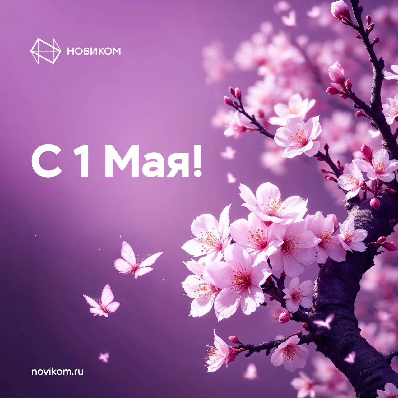 🌸 С Днём Весны и Труда!  Труд созидает, весна вдохновляет. А НОВИКОМ поддерживает тех, кто не остана