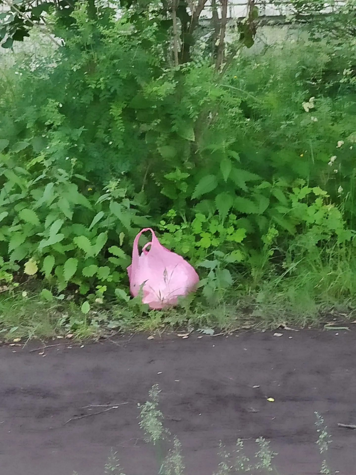 Свинюшки, в городе много мусорных баков. Неужели сложно три шага лишних сделать?