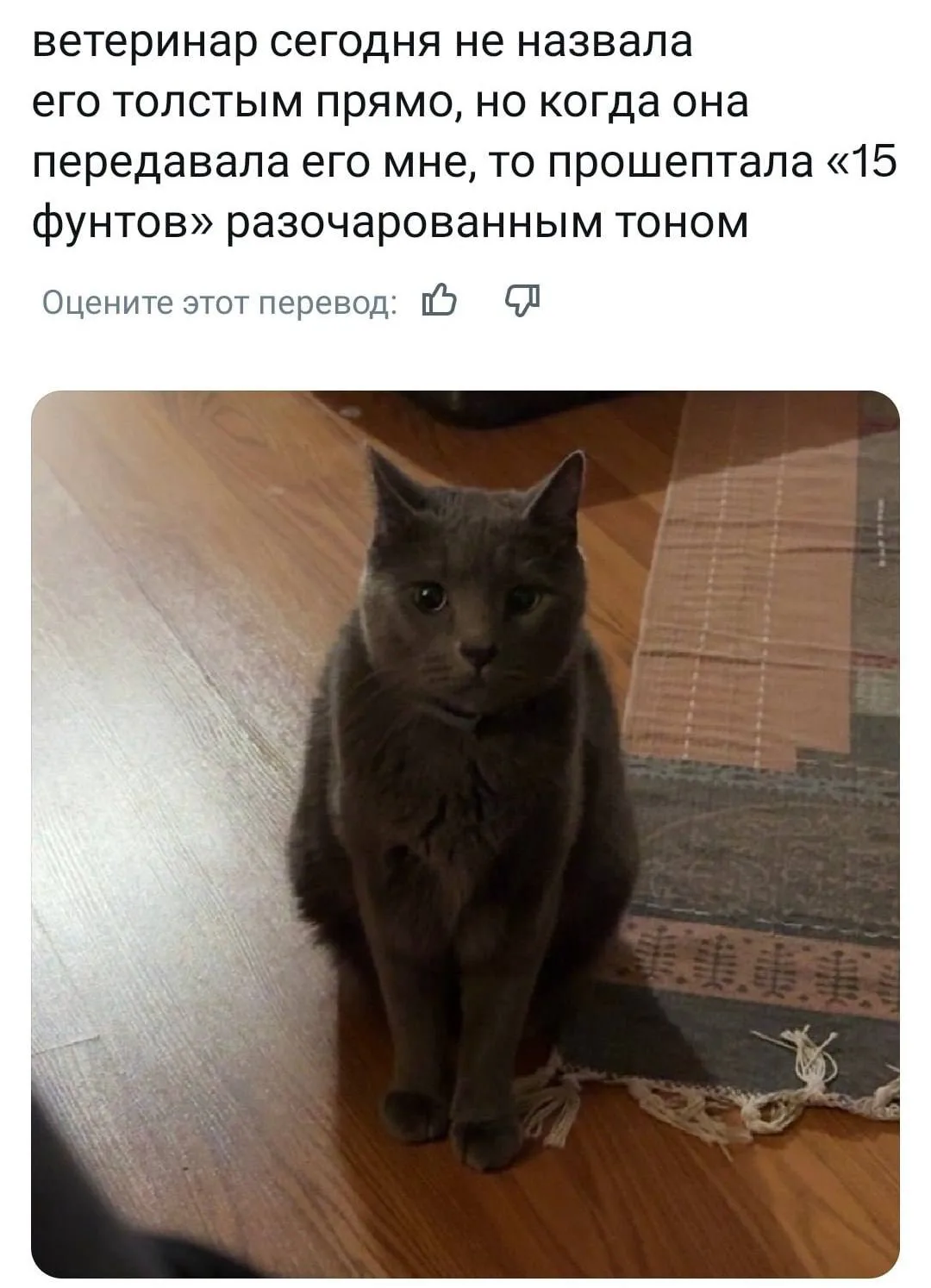 Я просто хочу бежать по берегу моря в красивой панамке, а больше ничего не хочу ❤️