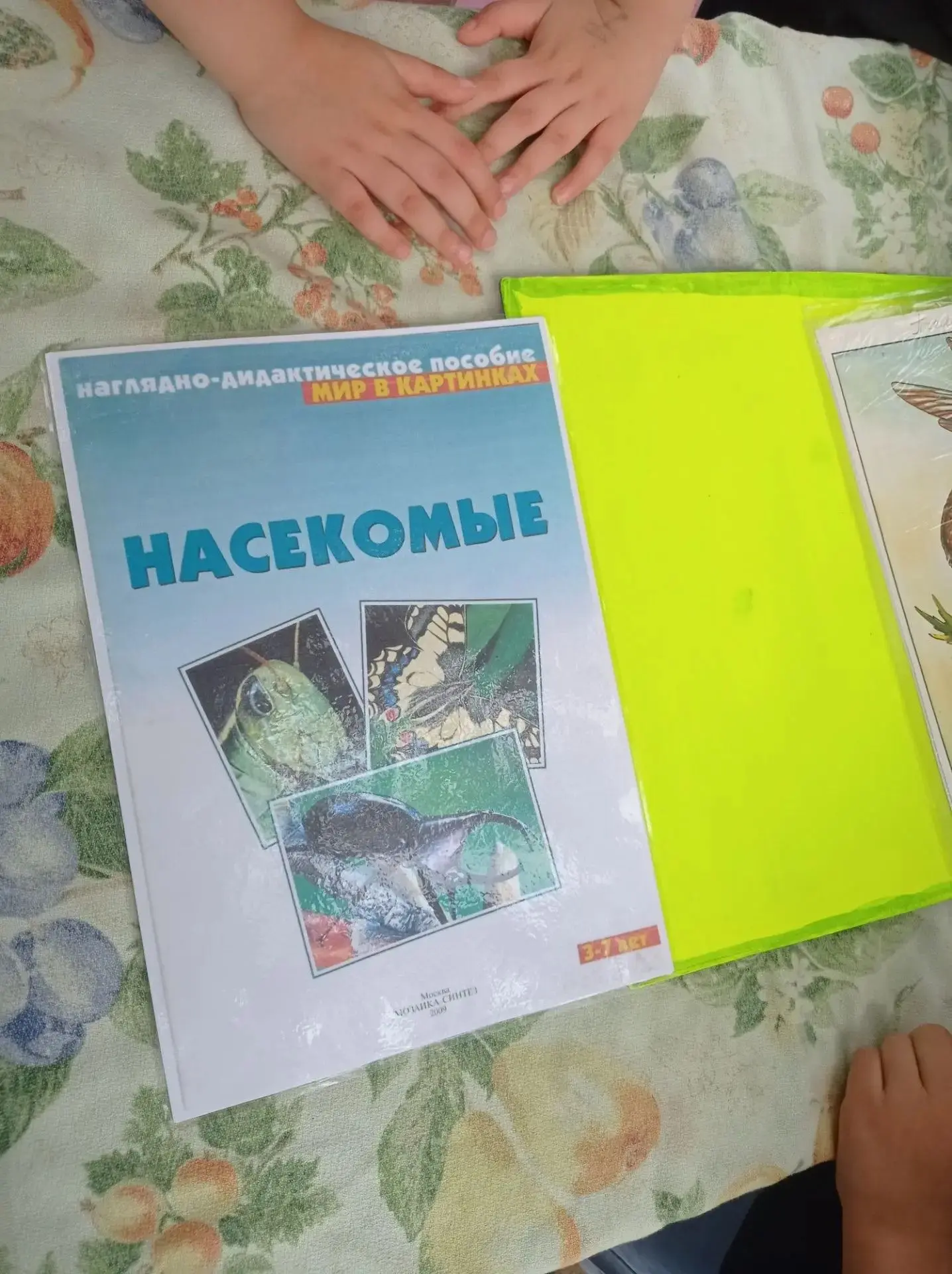 Маленькие исследователи в группе «Светлячок»!