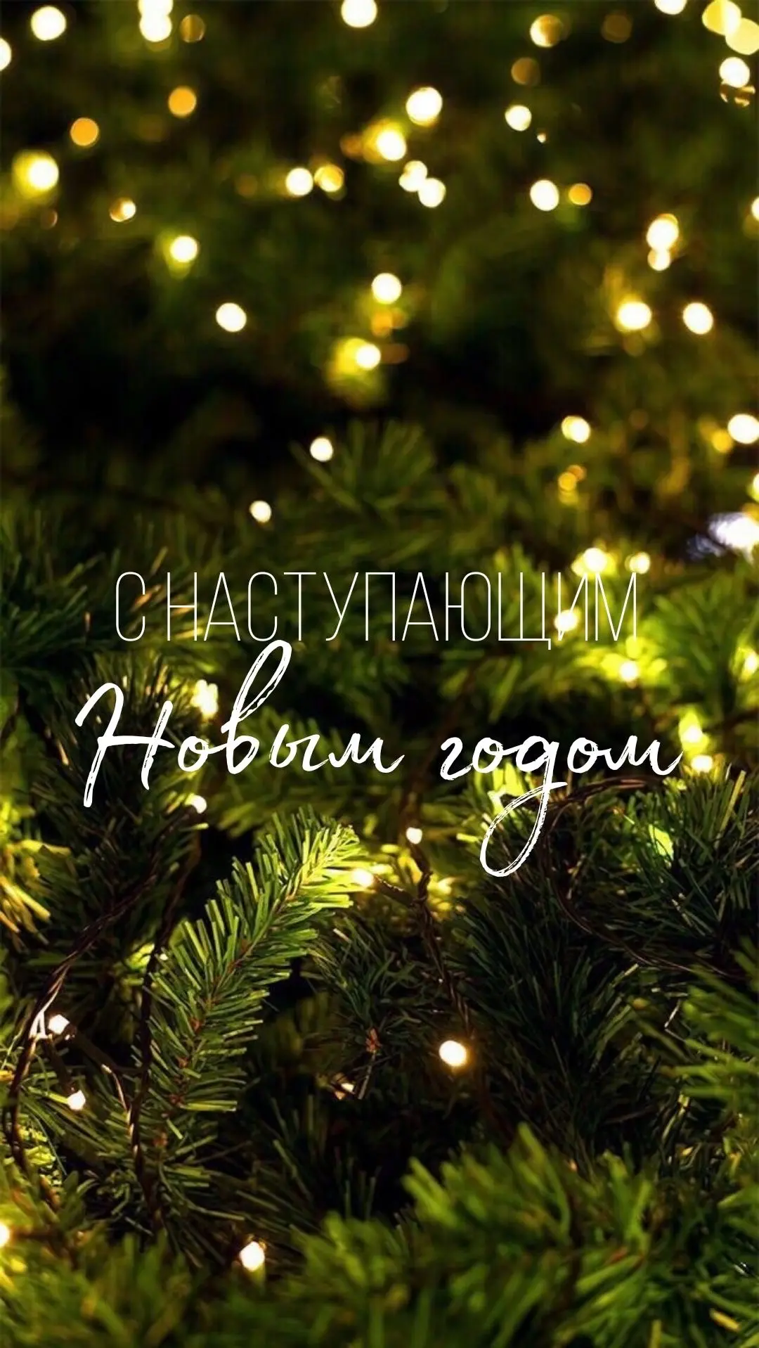 С наступающим Новым годом! 🎄