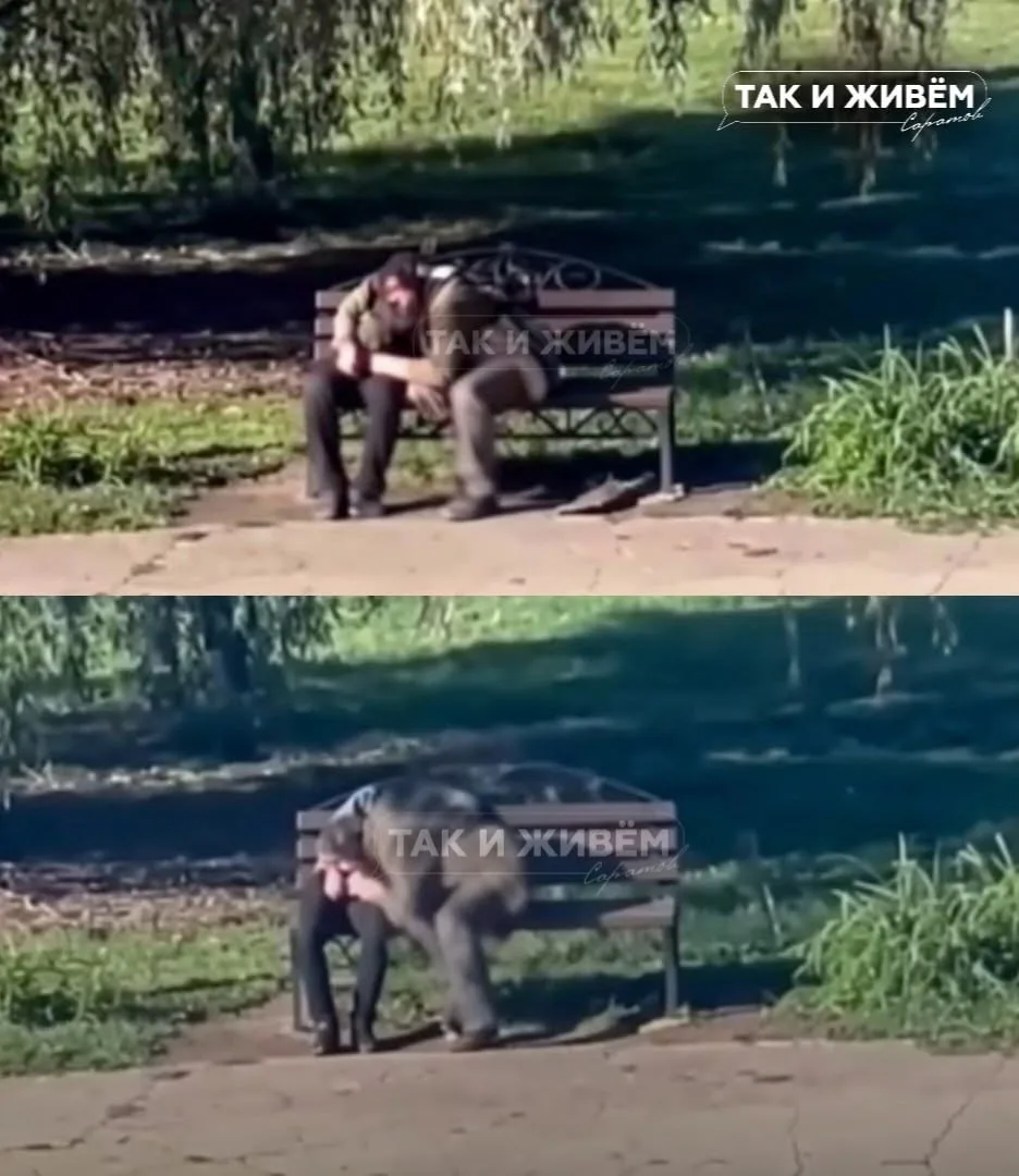 🤬В Балакове два алкаша ублажали друг друга на лавке перед школой