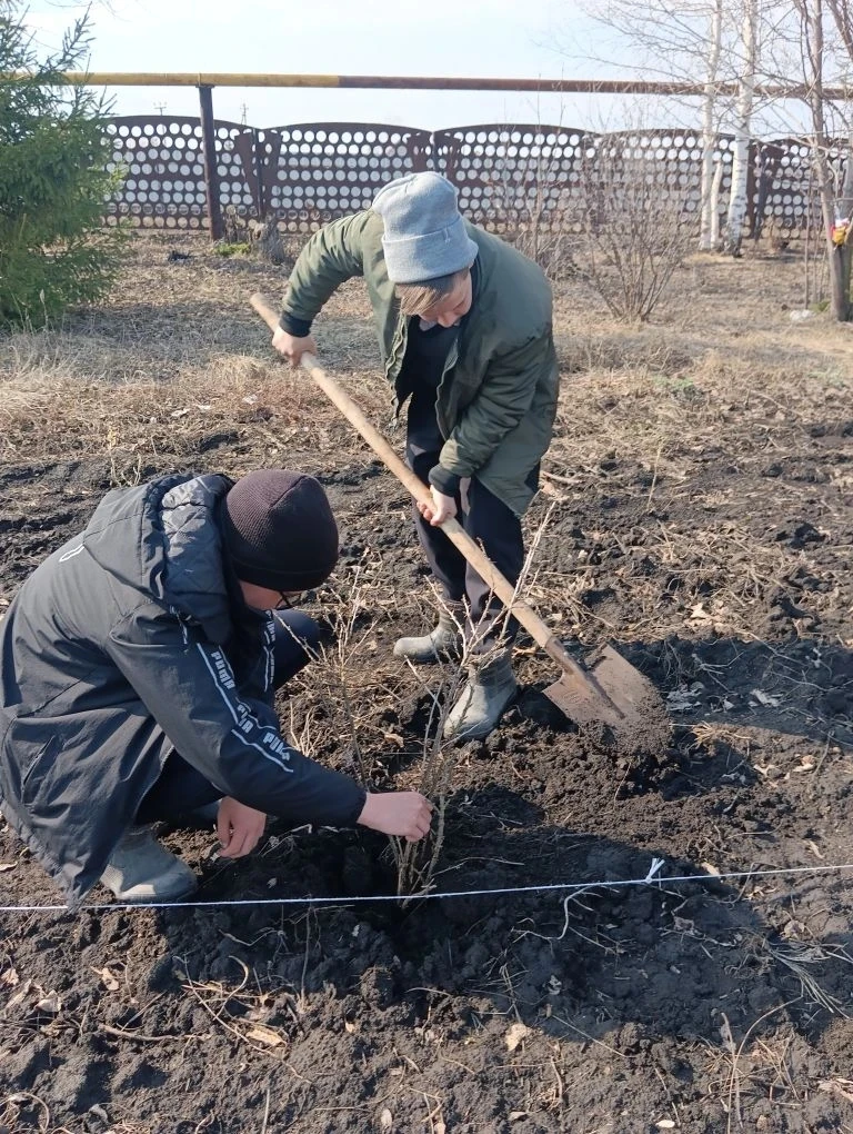 🌿Табигать язмышы безнең кулларда!