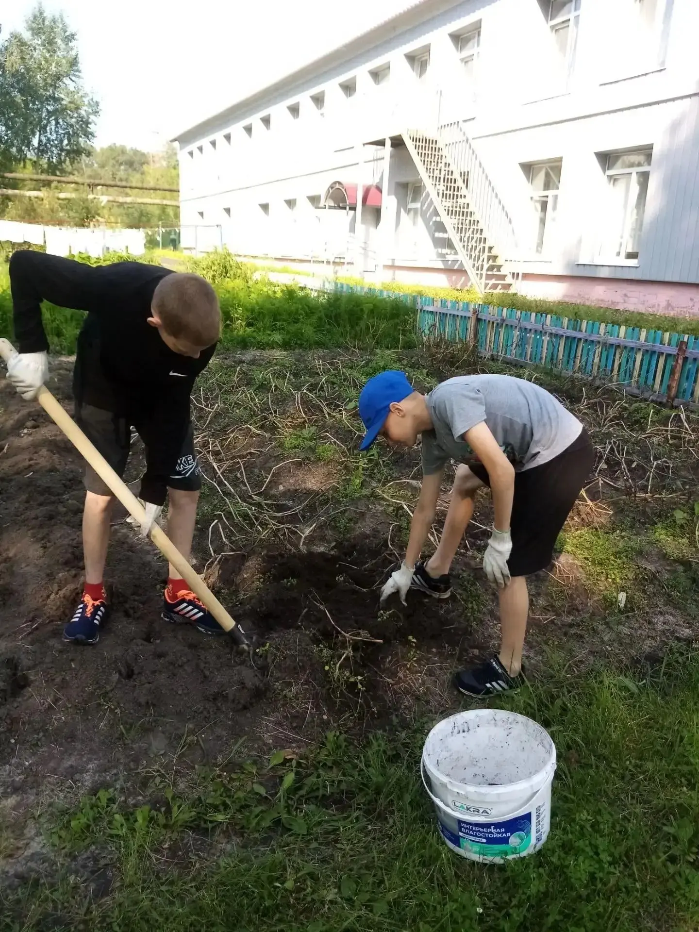 Трудовая деятельность детей на огороде