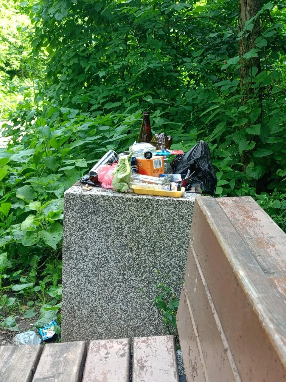👀 Лосиный остров и переполненные урны. Последствия выходных или очень редко убирают?

Фото: Марина 