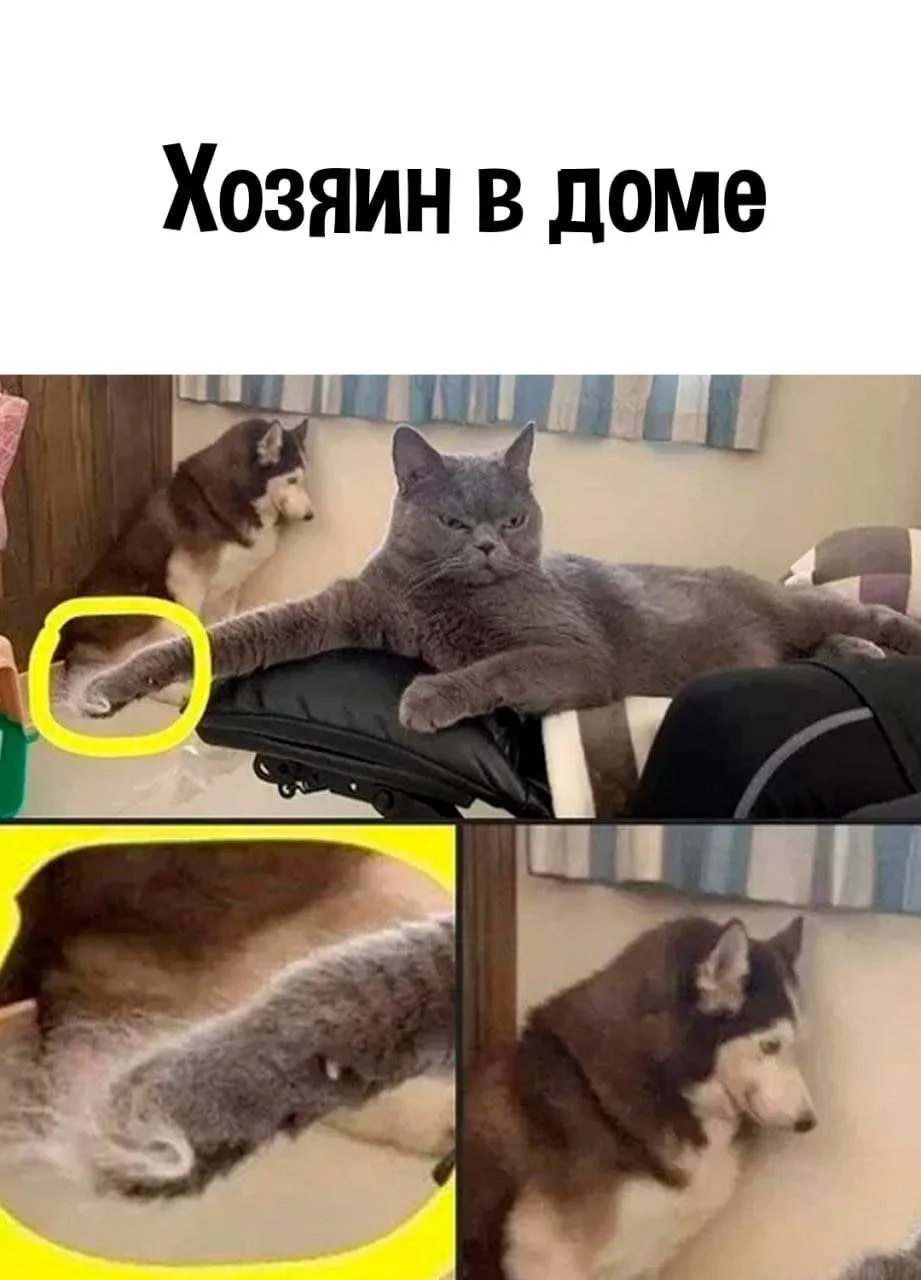 ПРУFИКИ В МАХ