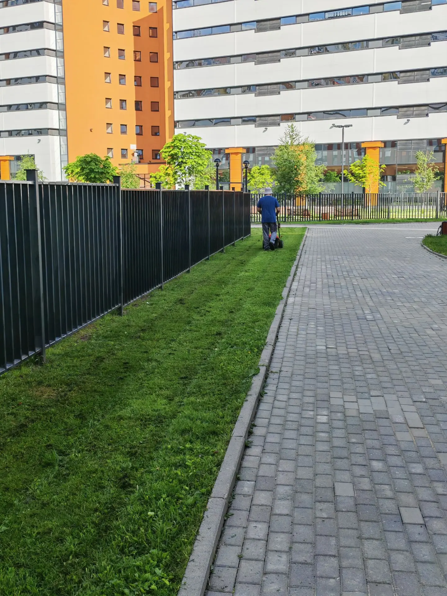 Каникулы — время, когда ученики с радостью откладывают учебники, а педагоги наконец могут перевести 