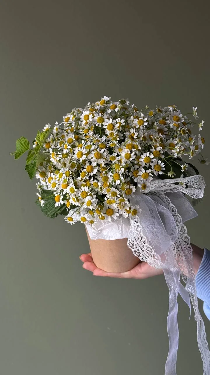 Абсолютная нежность с ромашками 🌼 для самых маленьких принцесс 👸🏼