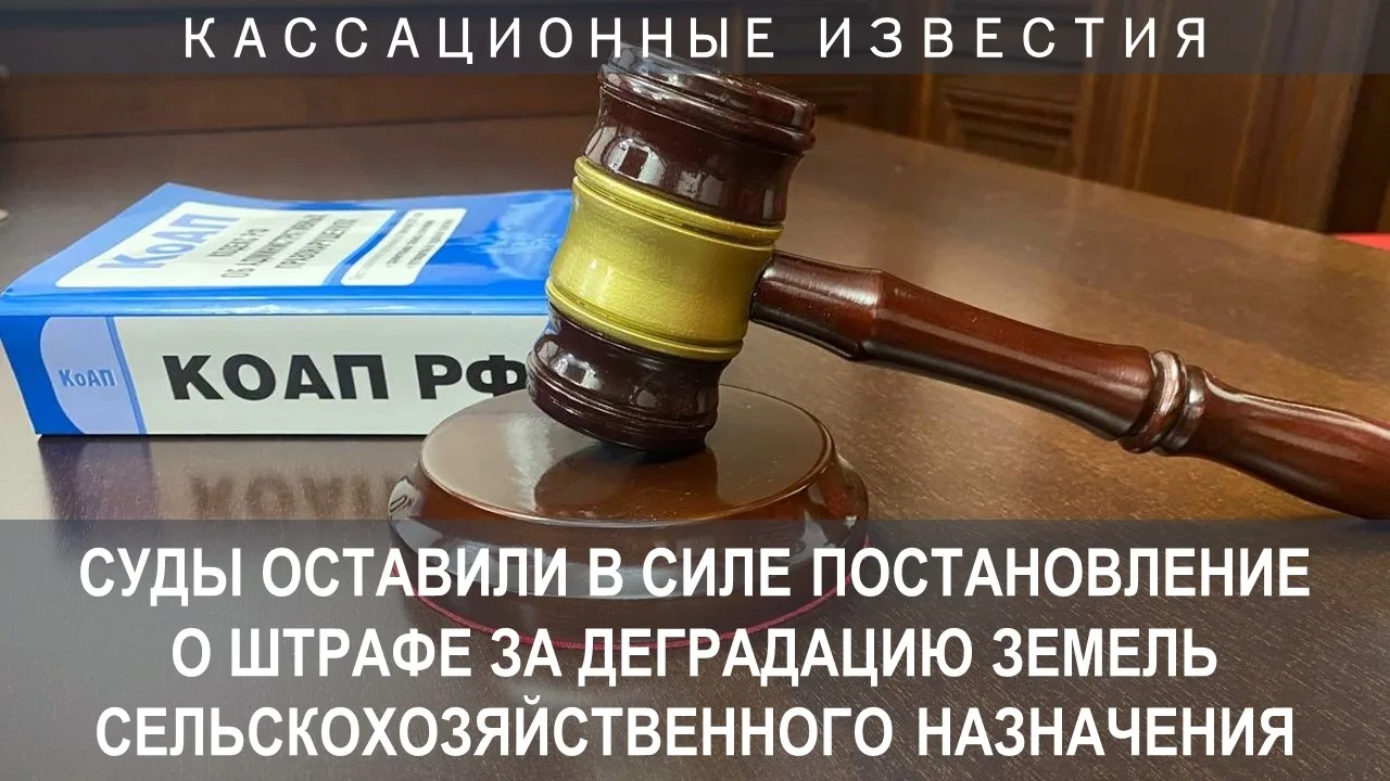 Управлением Россельхознадзора по Забайкальскому краю была проведена внеплановая выездная проверка зе