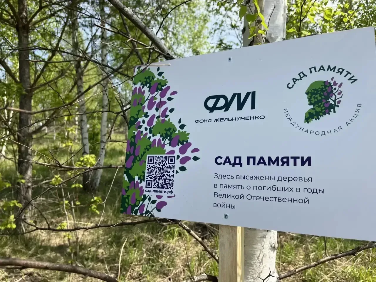 Сегодня кузбассовцы приняли участие в Международной акции «Сад Памяти», приуроченной к ...