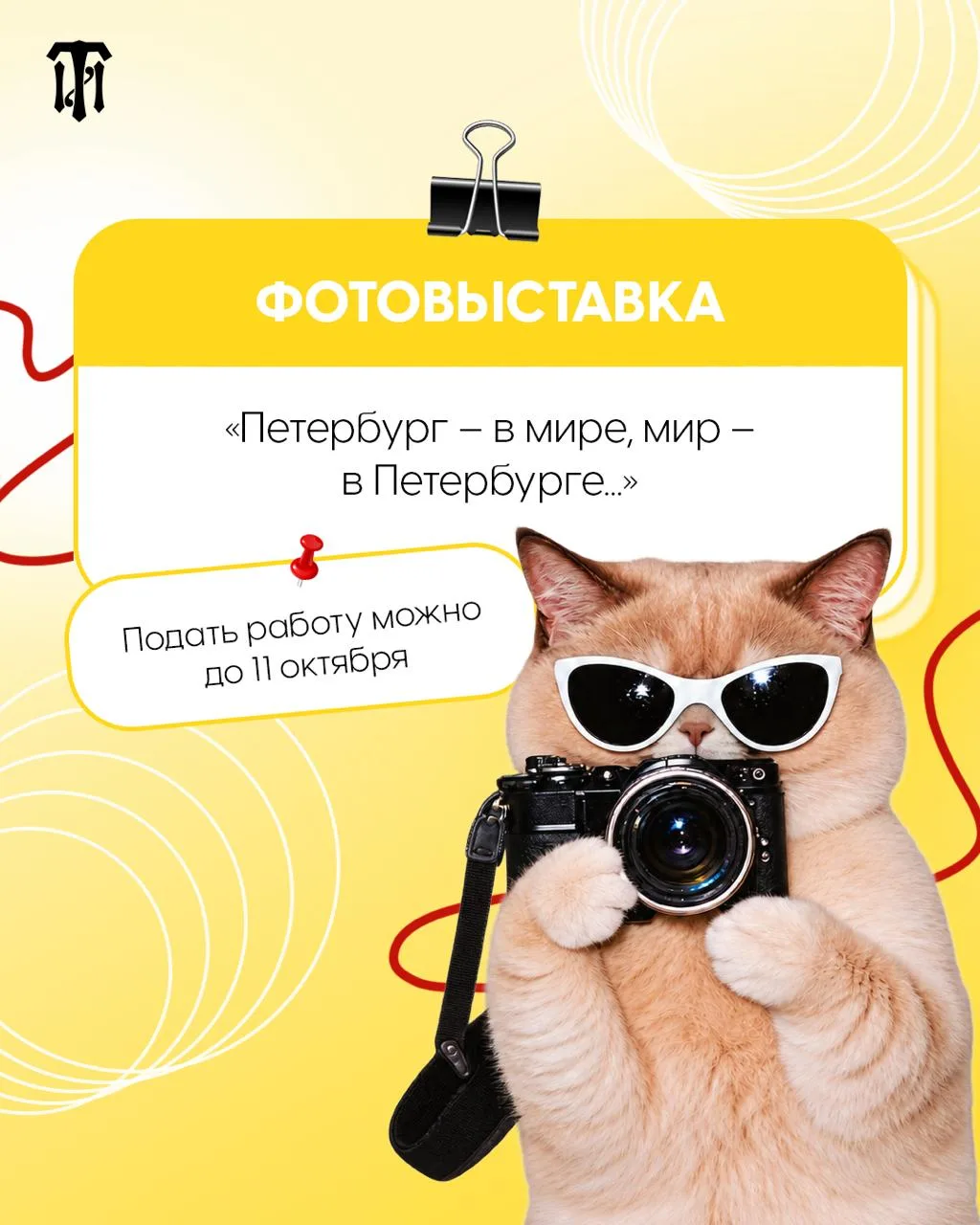 Петербург глазами студентов 📸