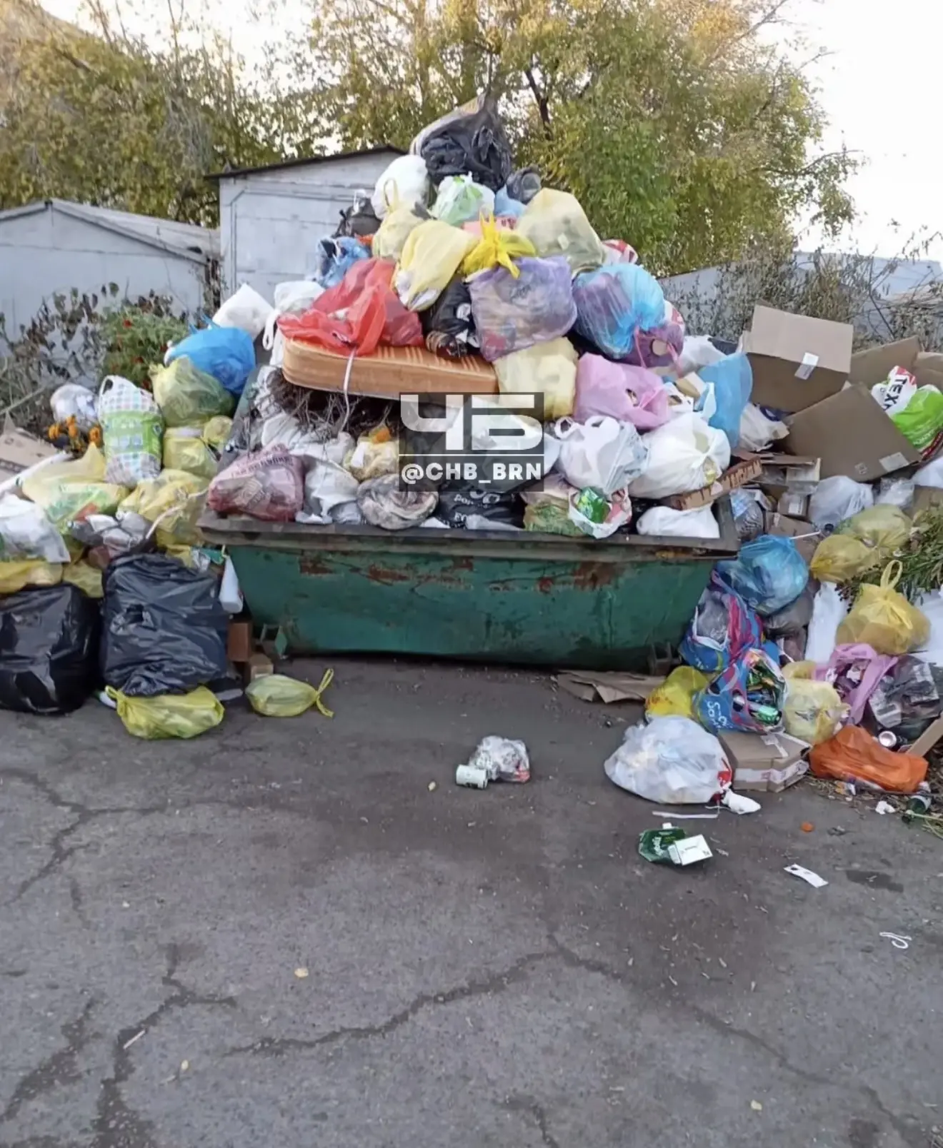 «И вот за эту красоту мы сейчас должны платить почти в два раза больше. Крысы пешком хо...