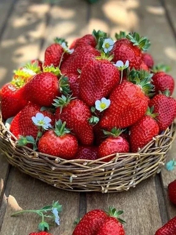 #сеvdim_семья