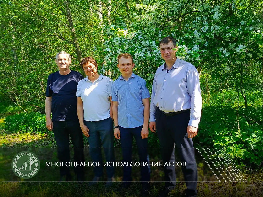 Многоцелевое использование лесов