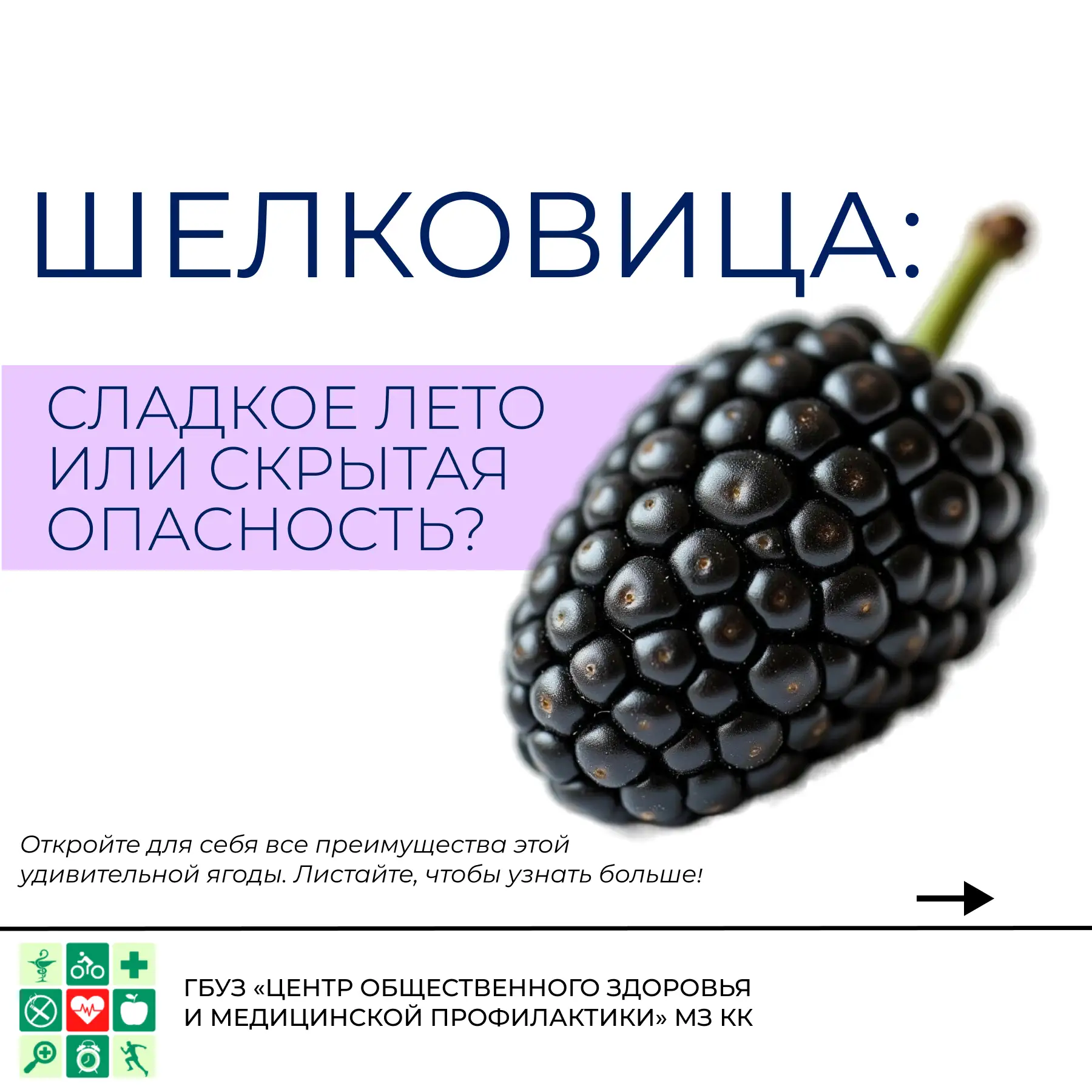 Шелковица: вкус нашего краснодарского лета! 🥰