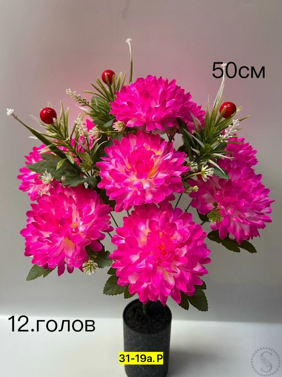https://vk.com/photo-184814919_493528558