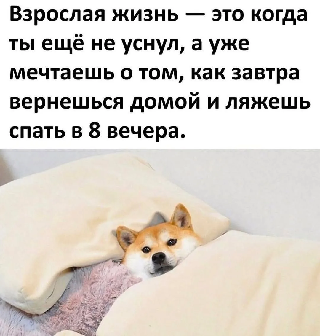 Спокойной ночи и приятного аппетита 😋