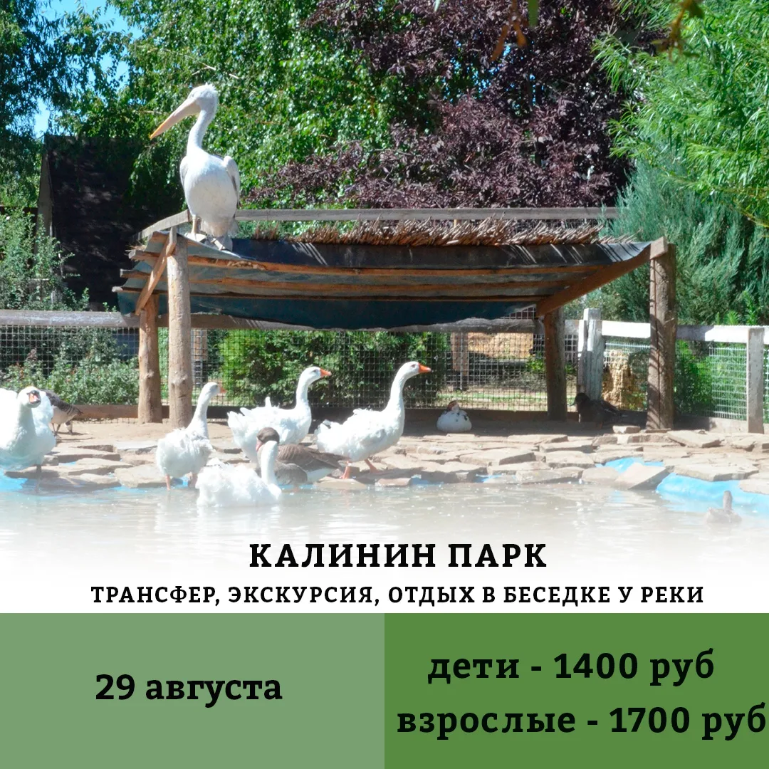 💫Тур: Калинин Парк — эко-ферма редких птиц и пушистых друзей

📅Дата: 29 августа

Хотите провести д
