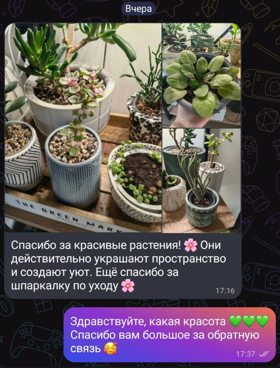 Ваши отзывы заставляют меня двигаться только вперёд 💚