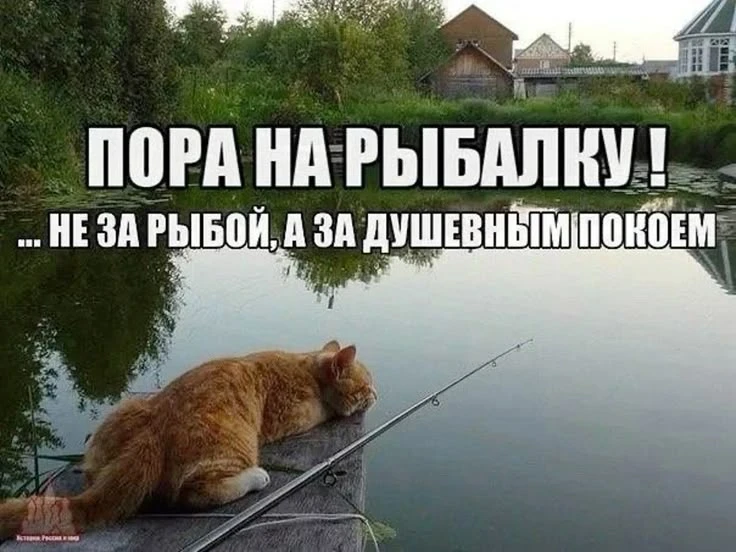 Доброе утро!!!