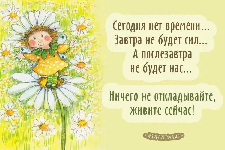 🌼🌼🌼