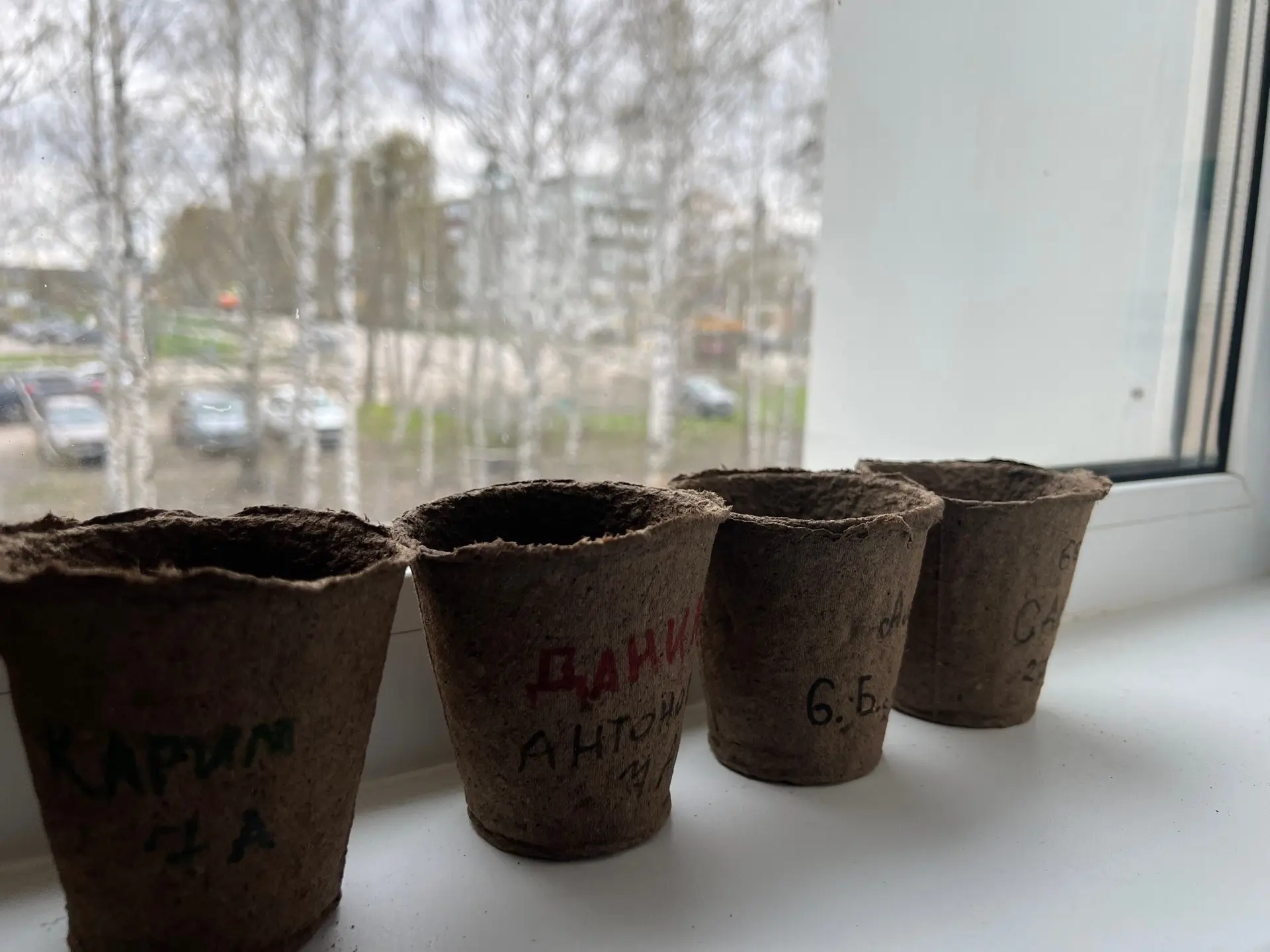 МОБУ СОШ с. Засечное:🌍🌱  День Земли. Акция «Зеленая весна».  Активисты Движения Первых МОБУ СОШ с. З