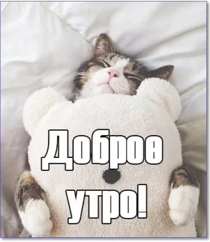 🌅 Доброе утро!