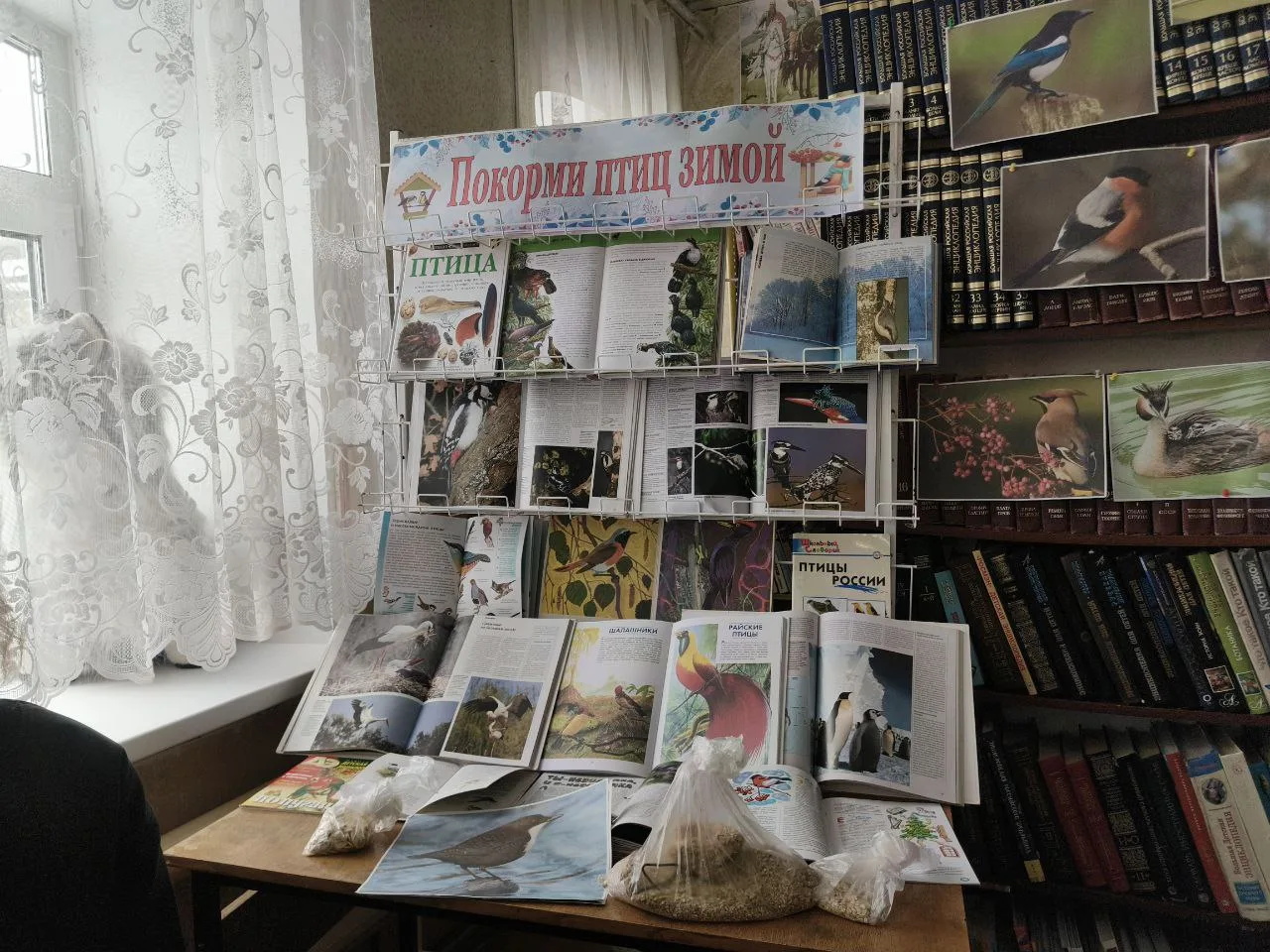 Ученики 5 "А" и ученики 5 "В" класса посетили детскую городскую библиотеку. Им рассказали о том, как